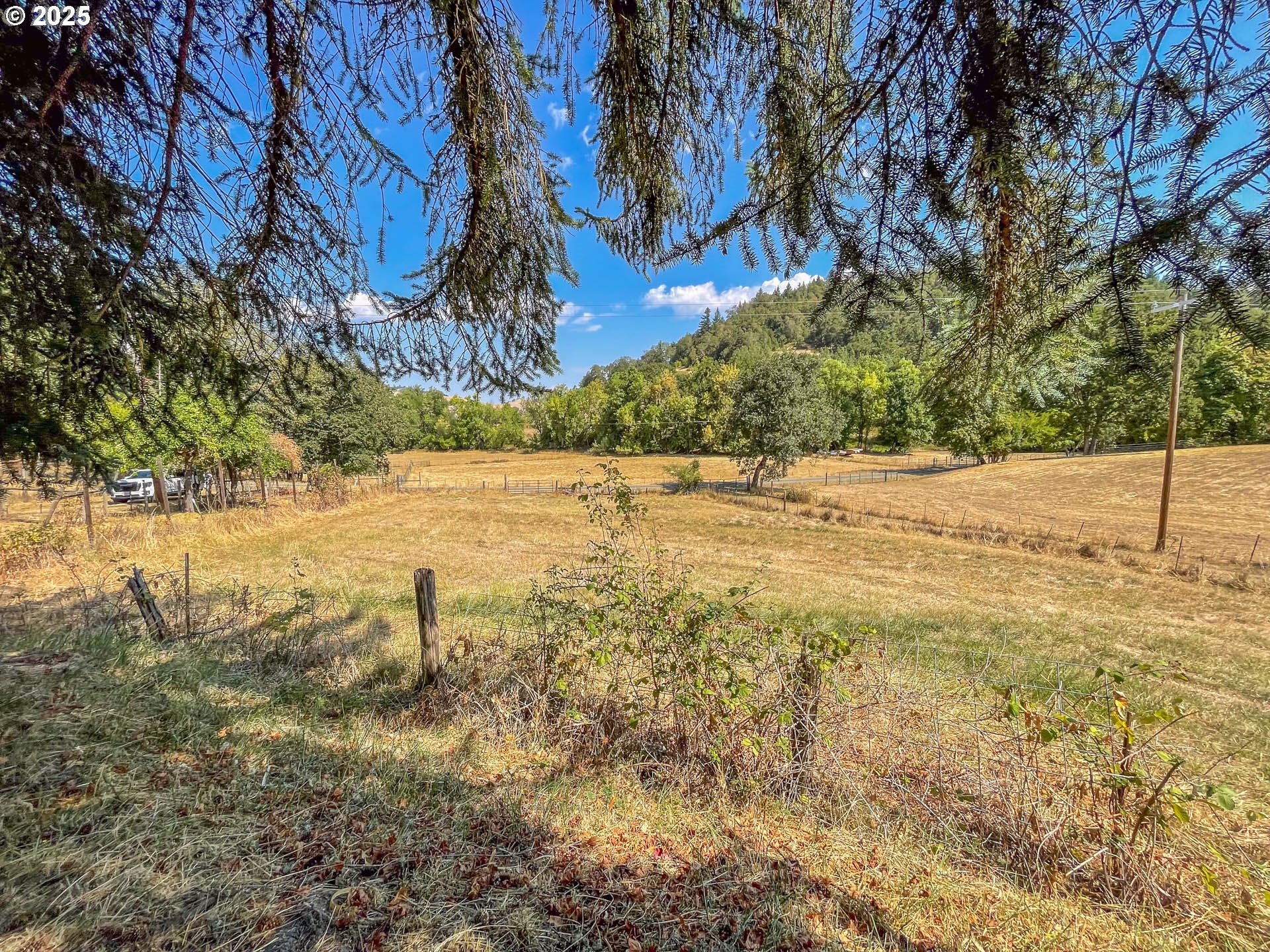 765 O C Brown Road Roseburg, OR 97470 - Photo 42 of 48 a view of yard with trees