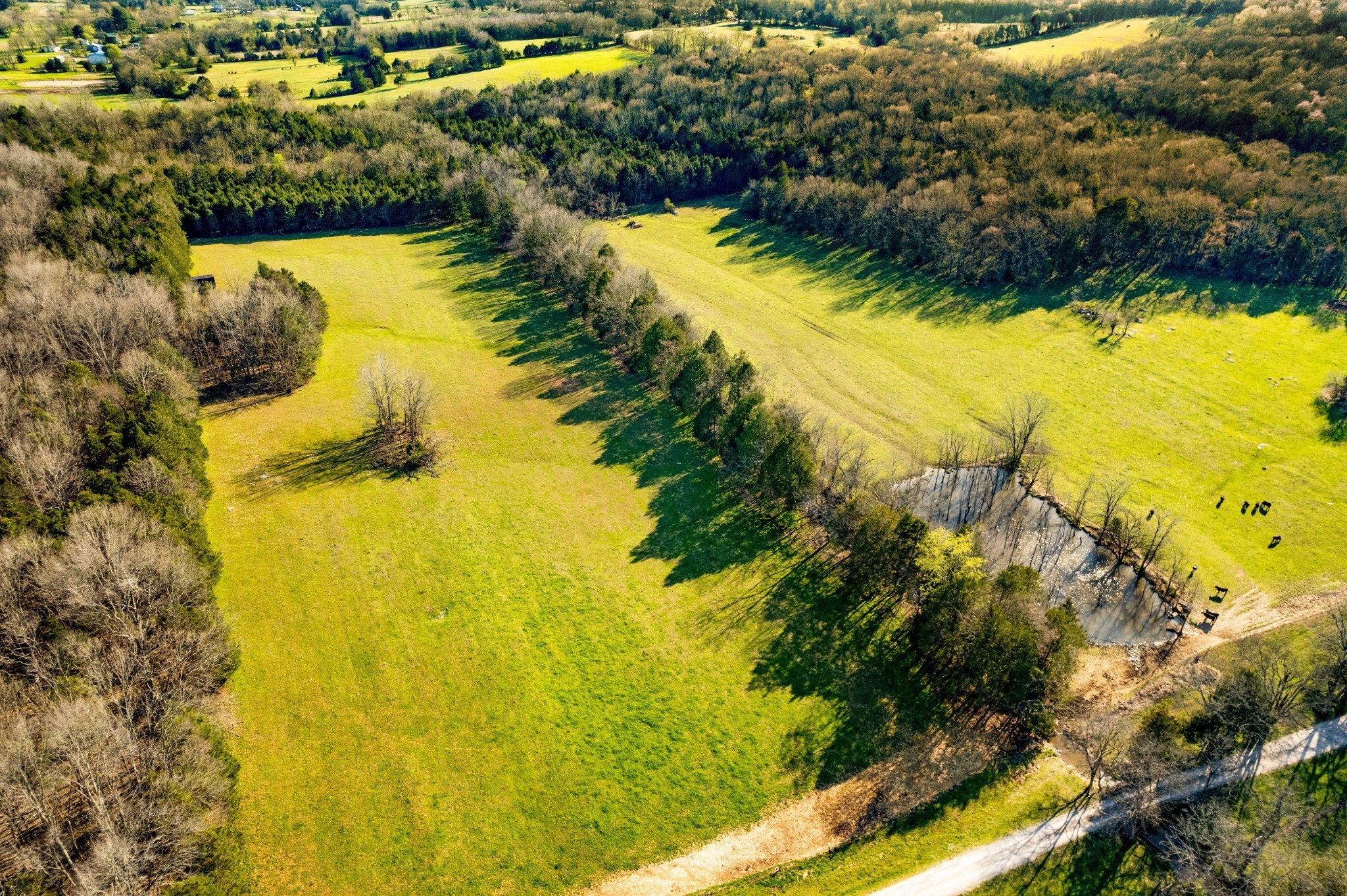 1 Cooks Road Mount Juliet, TN 37122 - Photo 3 of 14 a view of ocean