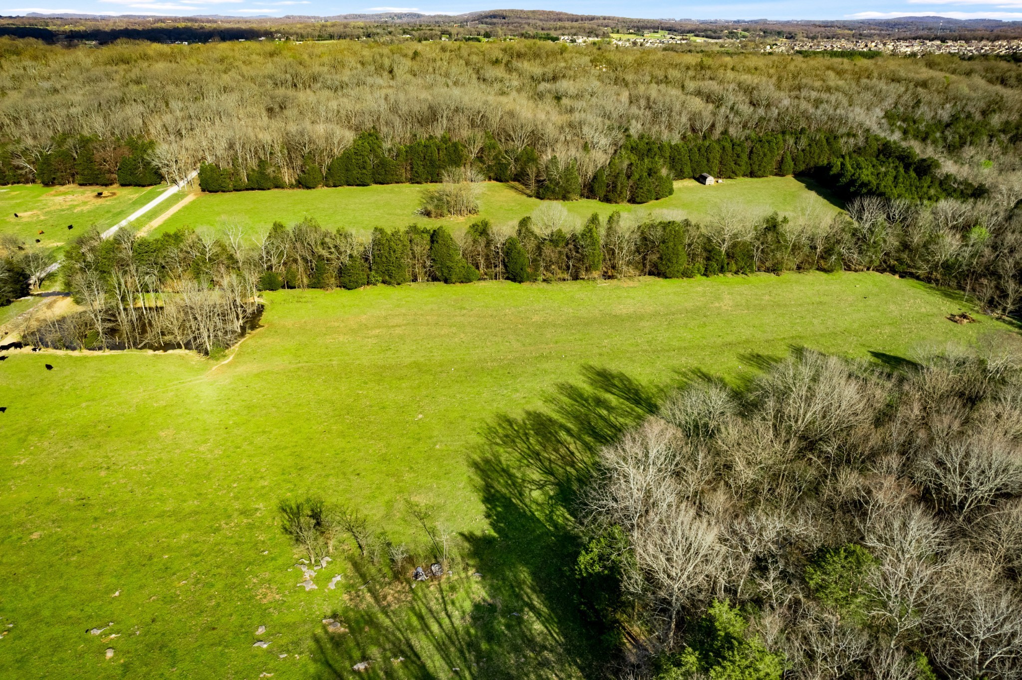 1 Cooks Road Mount Juliet, TN 37122 - Photo 4 of 14 a view of an ocean from a yard