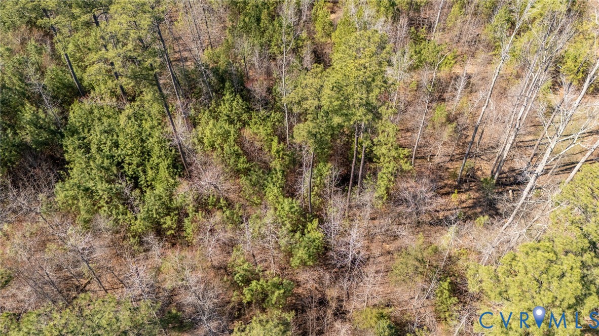 10111 Beaver Bridge Road Chesterfield, VA 23838 - Photo 13 of 17