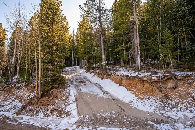 a view of backyard with green space