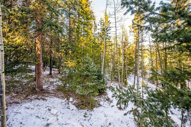 a view of a yard with plants and trees