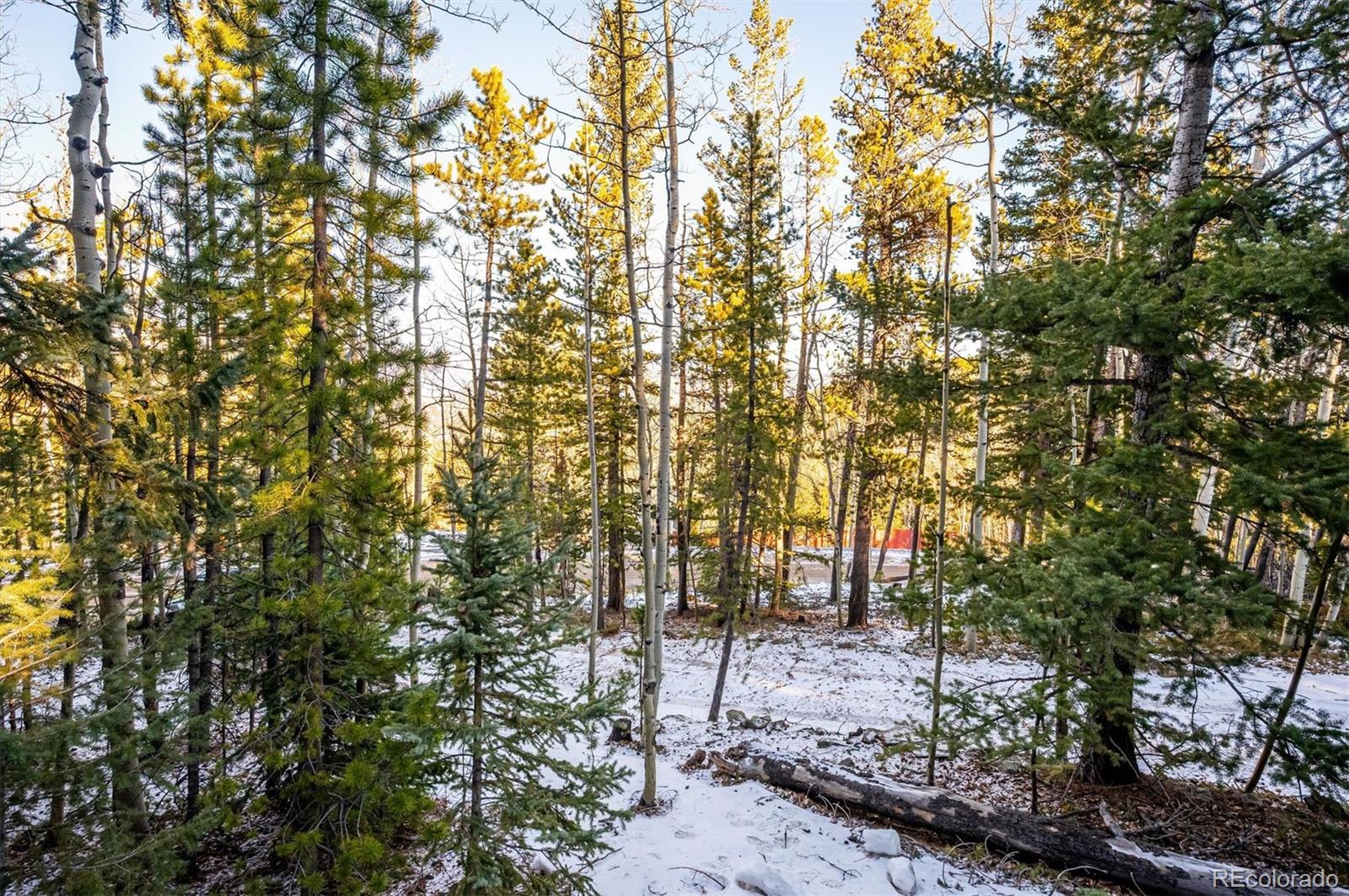 2334 Sinton Road Evergreen, CO 80439 - Photo 21 of 28 a view of forest