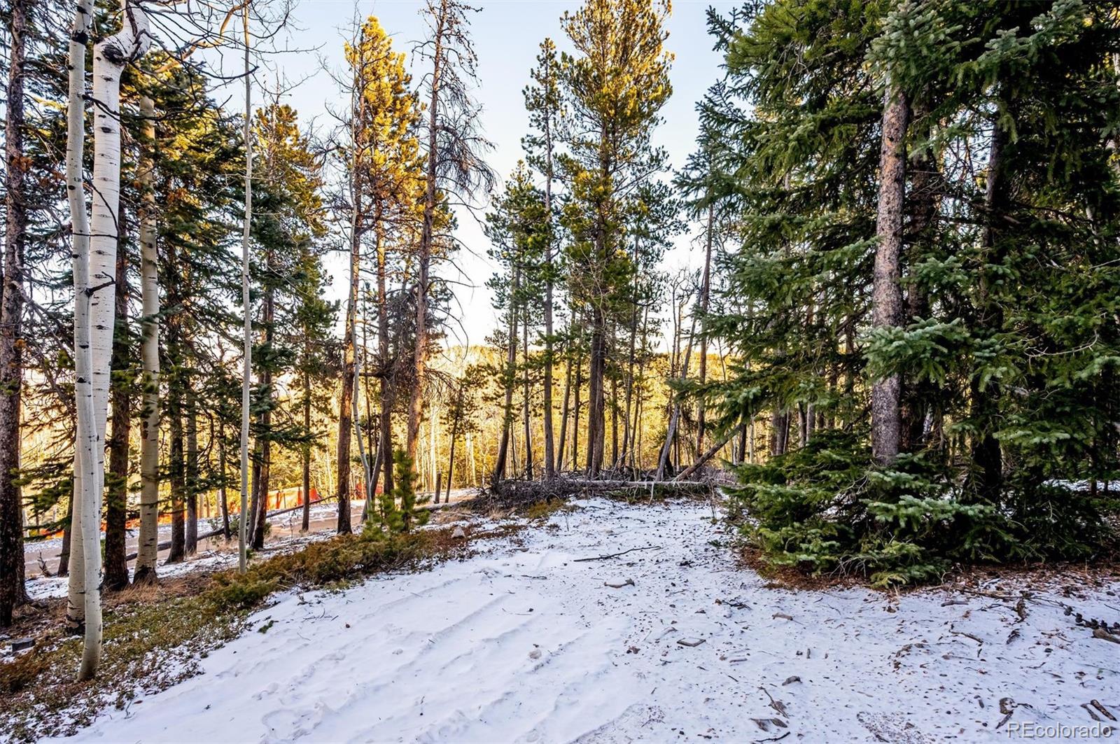 2334 Sinton Road Evergreen, CO 80439 - Photo 26 of 28 a view of backyard with large trees