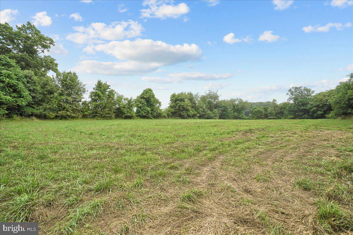 7409 Morgan Road Woodbine, MD 21797 - Photo 49 of 93 Gallery Image 49