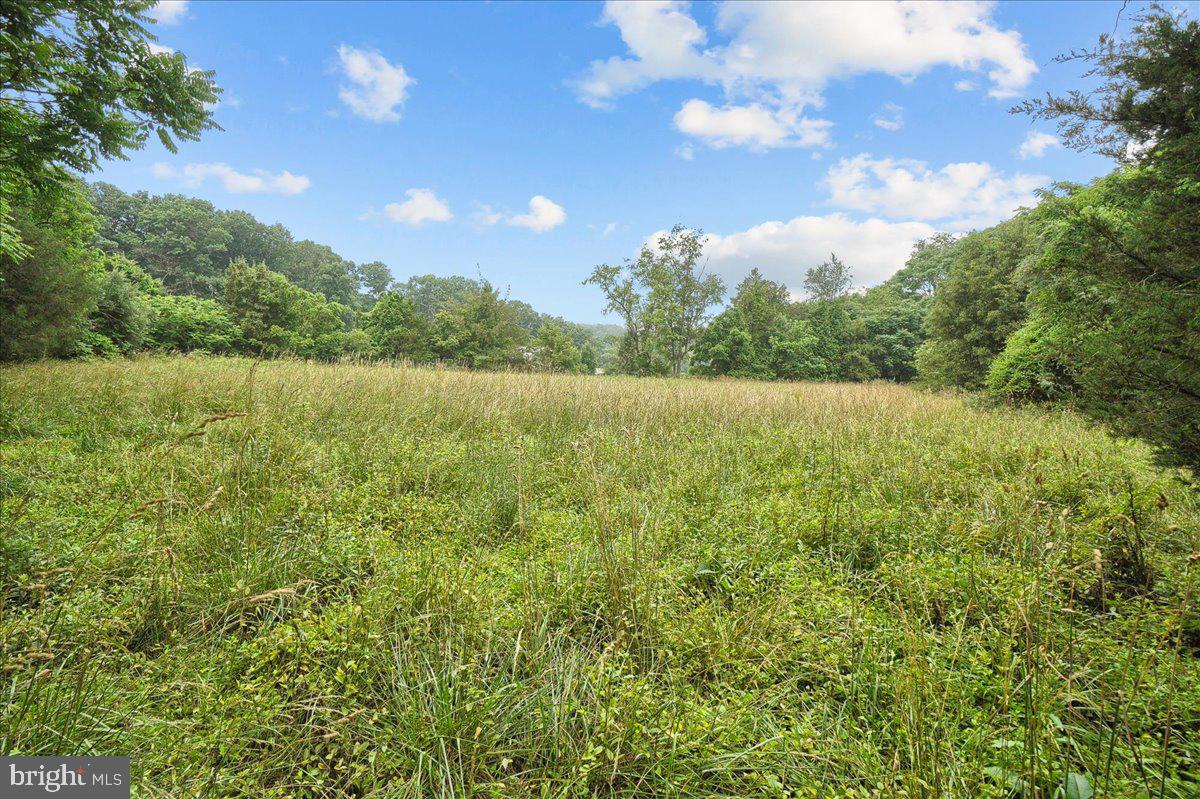 7409 Morgan Road Woodbine, MD 21797 - Photo 51 of 93 Gallery Image 51
