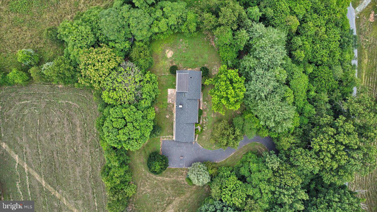 7409 Morgan Road Woodbine, MD 21797 - Photo 75 of 93 Gallery Image 75