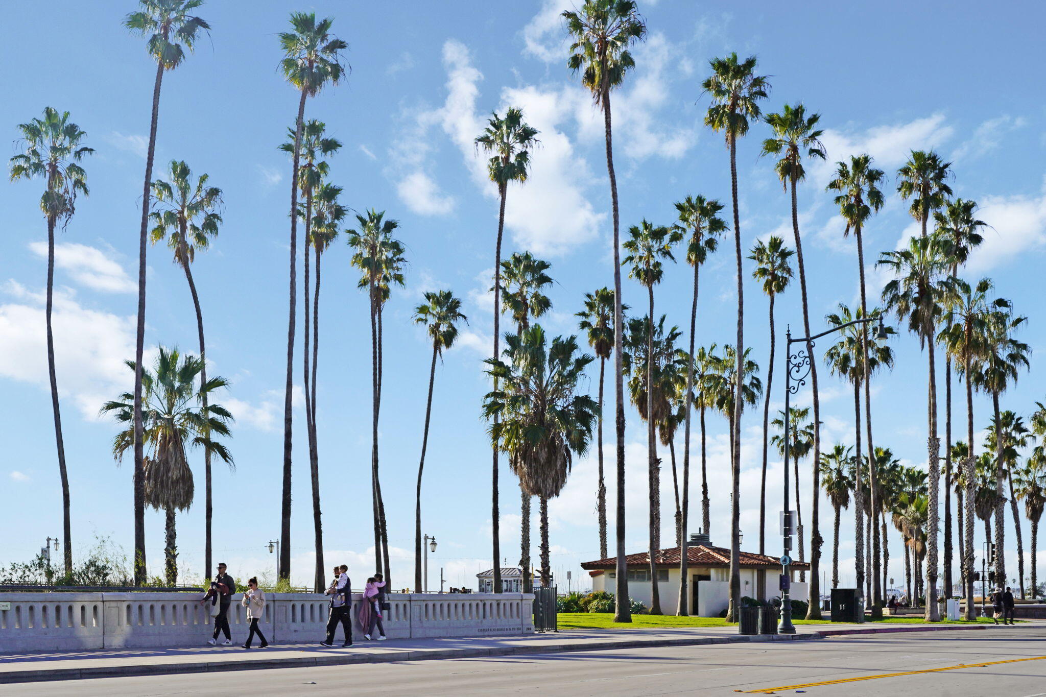 218 Santa Barbara Street, Unit D Santa Barbara, CA 93101 - Photo 23 of 25 a view of outdoor space with palm trees