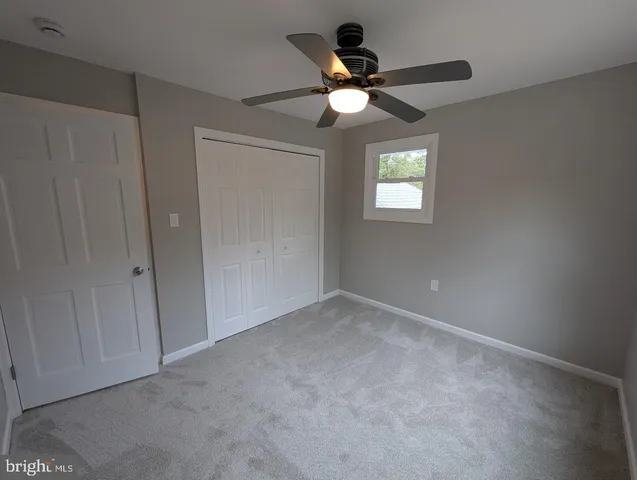 a view of a tree in a yard