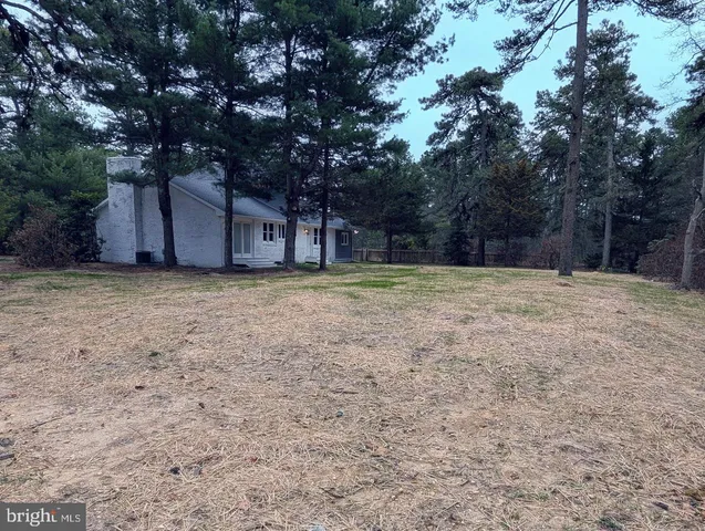 a view of a yard with a tree