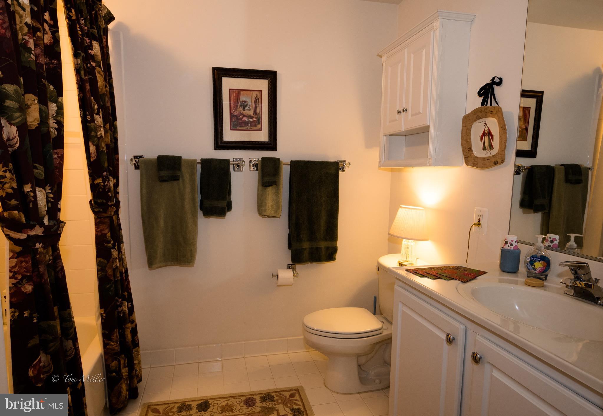 12350 Rosslare Ridge Road, Unit 302 Lutherville-Timonium, MD 21093 - Photo 13 of 30 Bath