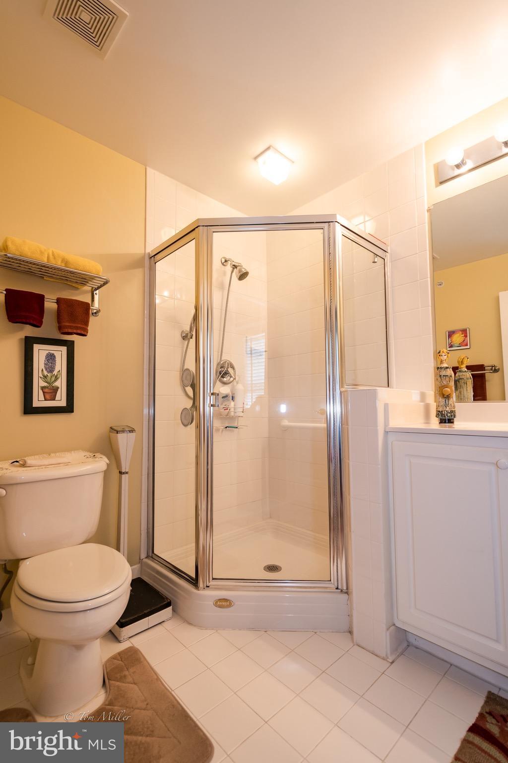 12350 Rosslare Ridge Road, Unit 302 Lutherville-Timonium, MD 21093 - Photo 9 of 30 Bath (Master)