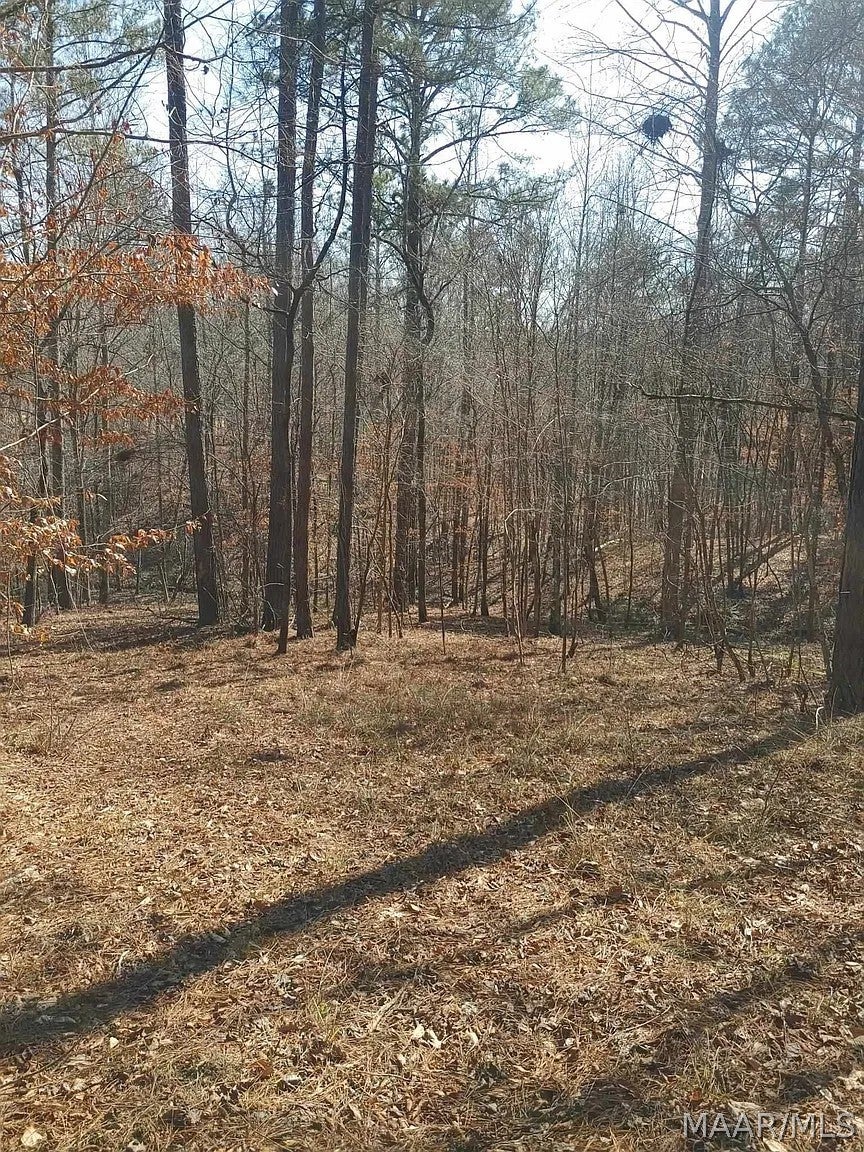 10 Yacht Club Road Titus, AL 36080 - Photo 9 of 18 Gallery Image 9
