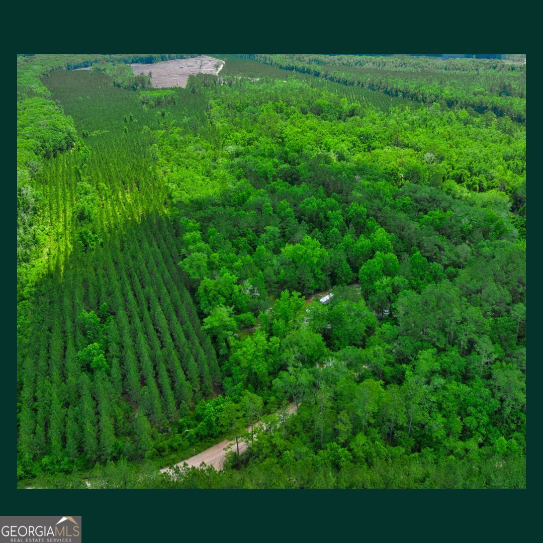 5435 Springhill Road North Folkston, GA 31537 - Photo 8 of 22