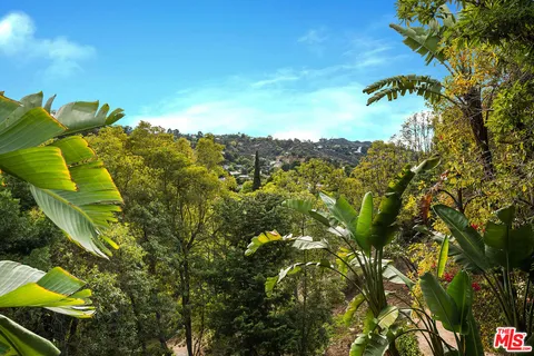 a outdoor living space with furniture and a potted plant