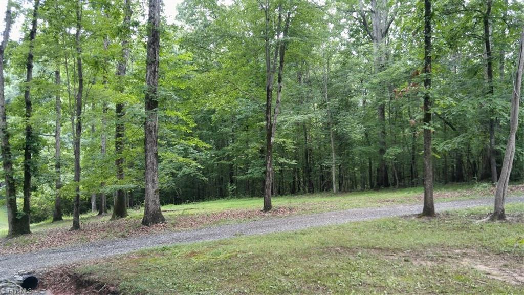 805 Eden Road Stoneville, NC 27048 - Photo 30 of 30 Gallery Image 30