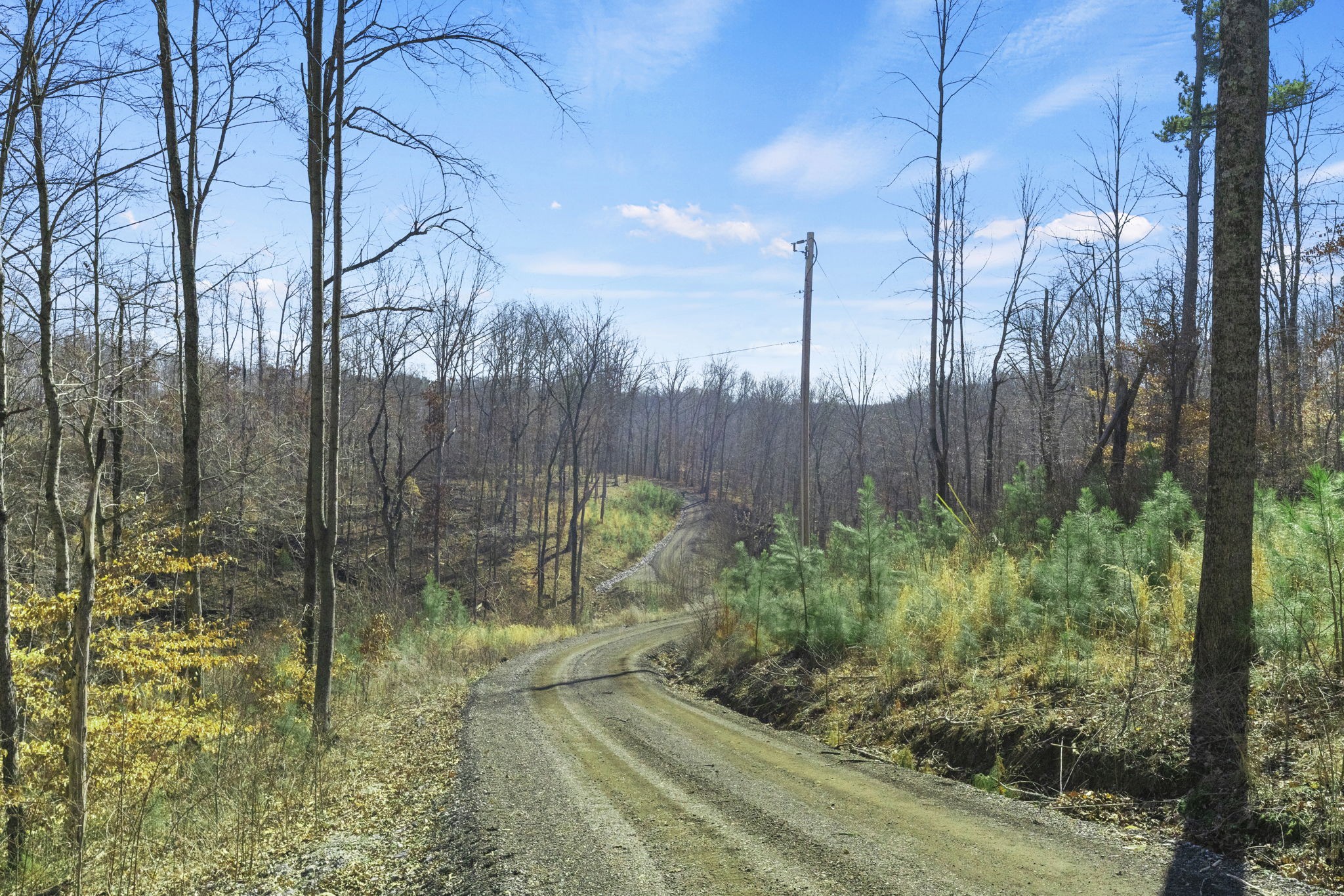 1979 Keyes Road Greenbrier, TN 37073 - Photo 65 of 69 Gallery Image 65