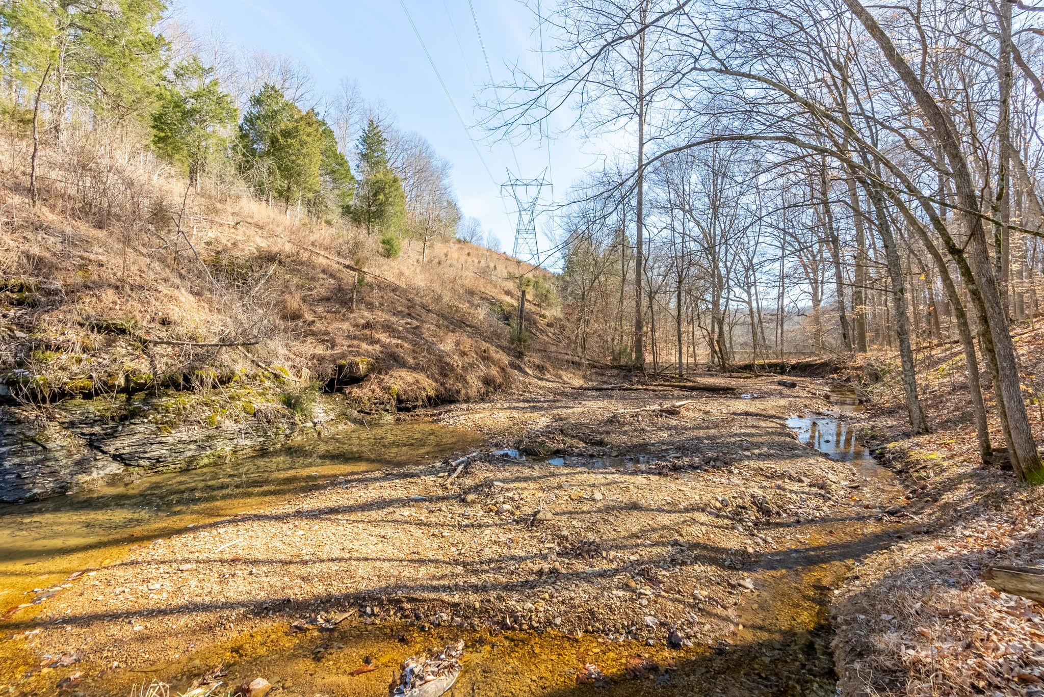 1979 Keyes Road Greenbrier, TN 37073 - Photo 66 of 69 Gallery Image 66