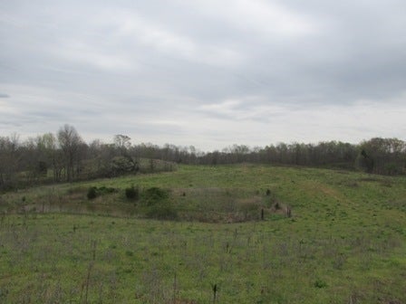 Fairview Church Road Smiths Grove, KY 42171 - Photo 12 of 34 Gallery Image 12