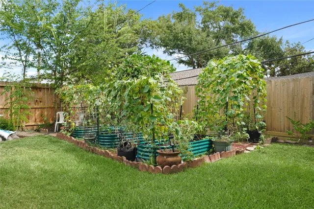 a view of a garden with a bench