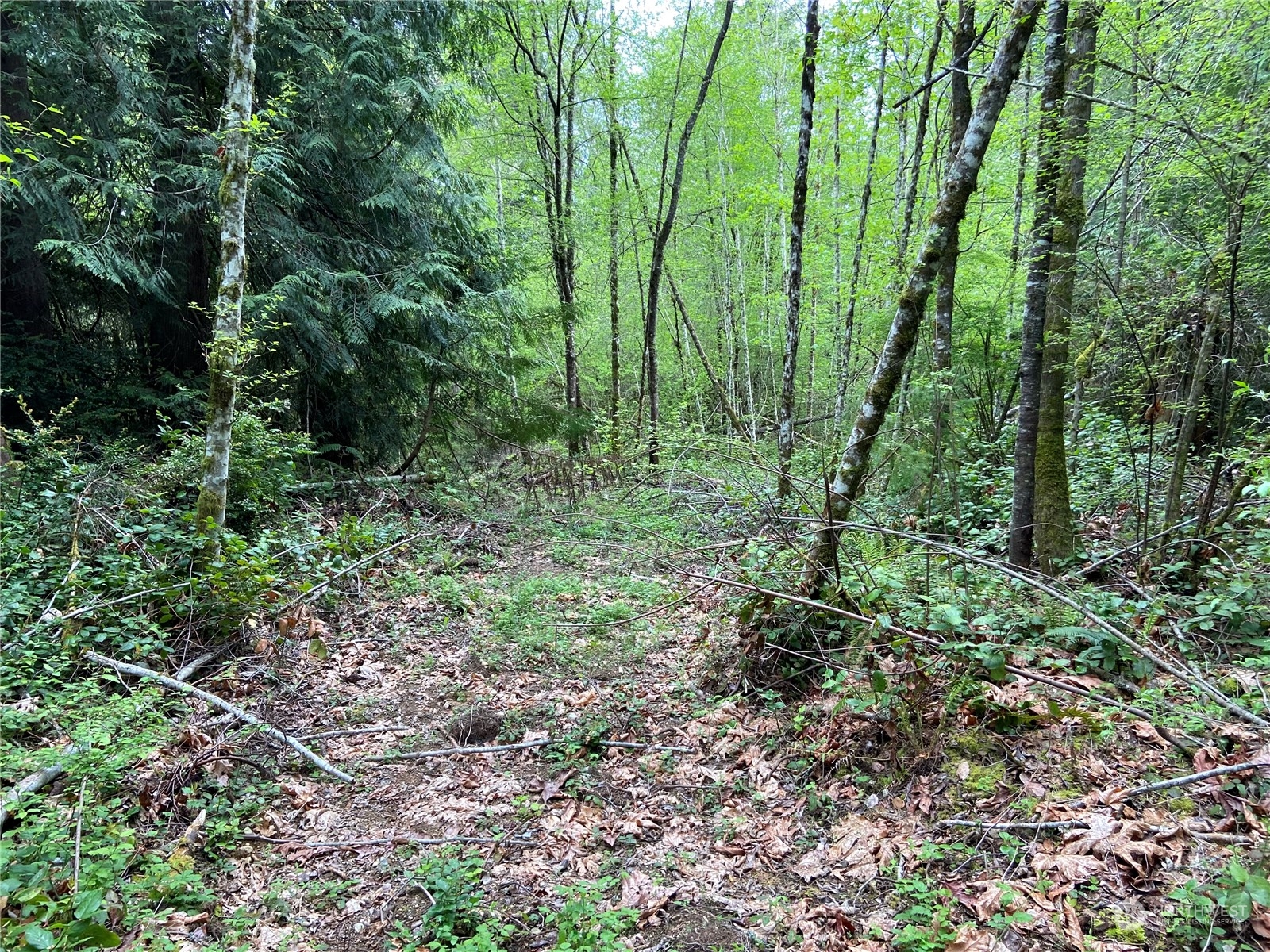 15129 Bandix Road Southeast Olalla, WA 98359 - Photo 2 of 5 a view of outdoor space and green space