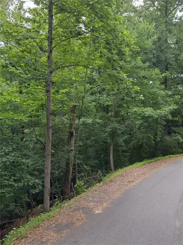 a view of a forest with a street
