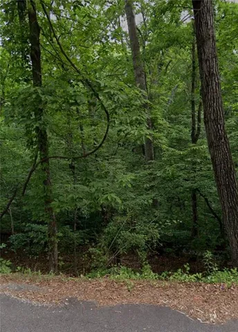 a view of a yard with plants and large trees