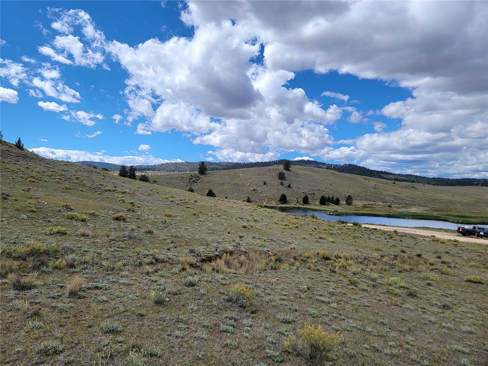 20 Yellowstone Road Hartsel, CO 80449 - Photo 11 of 50 Gallery Image 11