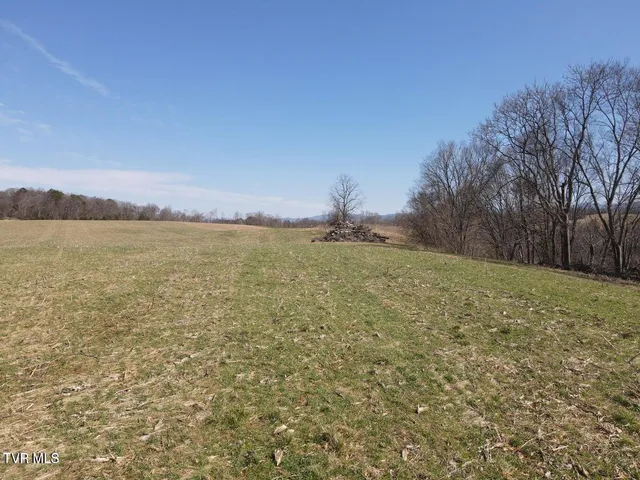 $229,000 | Tbd Lot 2 Tbd Lane, Afton, TN 37616
