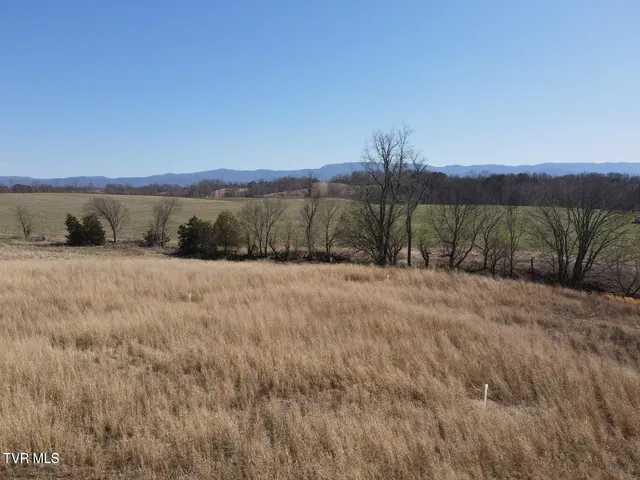 $229,000 | Tbd Lot 2 Tbd Lane, Afton, TN 37616