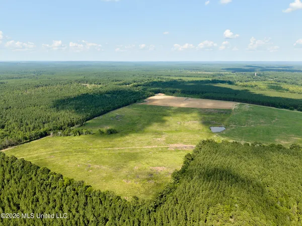 $995,000 | 79 County Road 2349, Louin, MS 39338