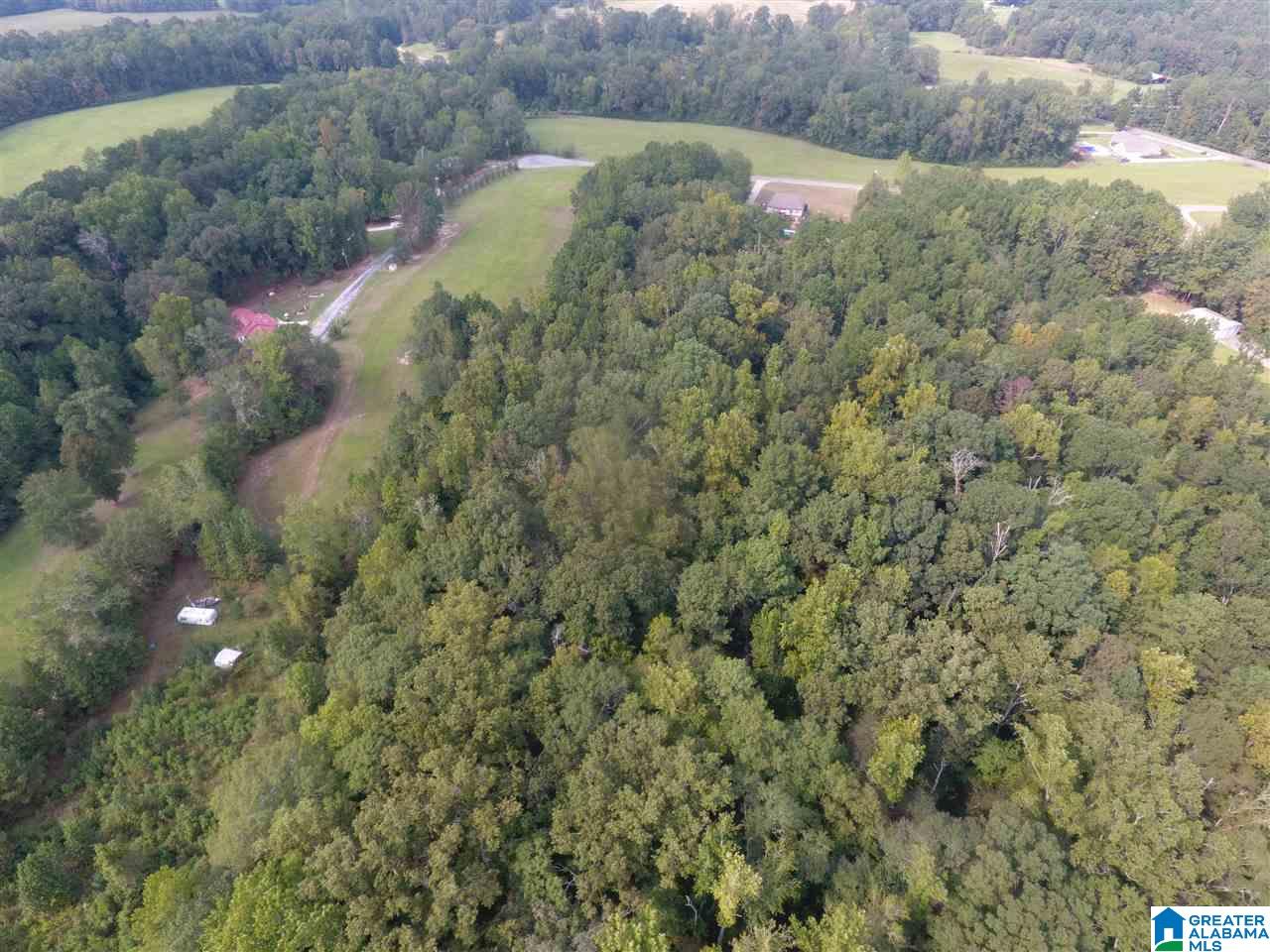 0 Brooks Road Ragland, AL 35131 - Photo 8 of 49