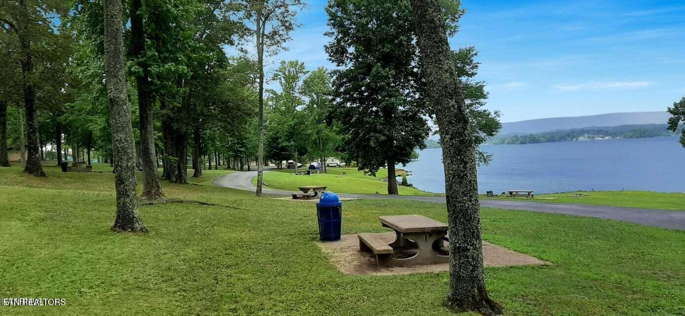 Lot 20 Dogwood Cove Road Spring City, TN 37381 - Photo 11 of 13 .