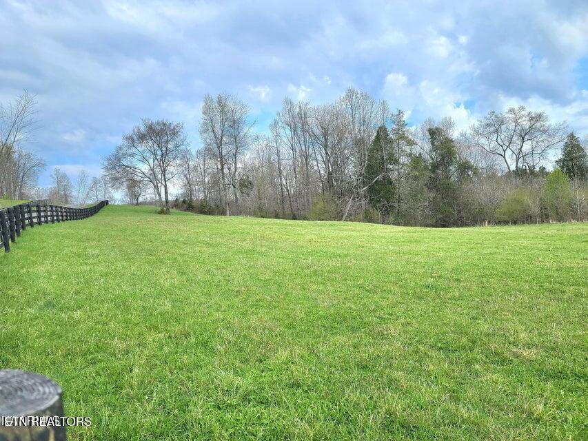 Lot 20 Dogwood Cove Road Spring City, TN 37381 - Photo 5 of 13 .