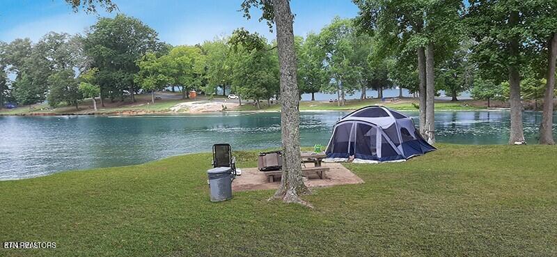 Lot 20 Dogwood Cove Road Spring City, TN 37381 - Photo 6 of 13 .