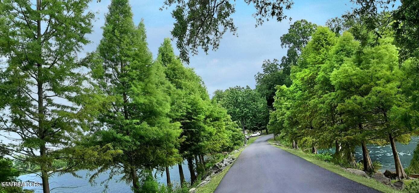 Lot 20 Dogwood Cove Road Spring City, TN 37381 - Photo 7 of 13 .