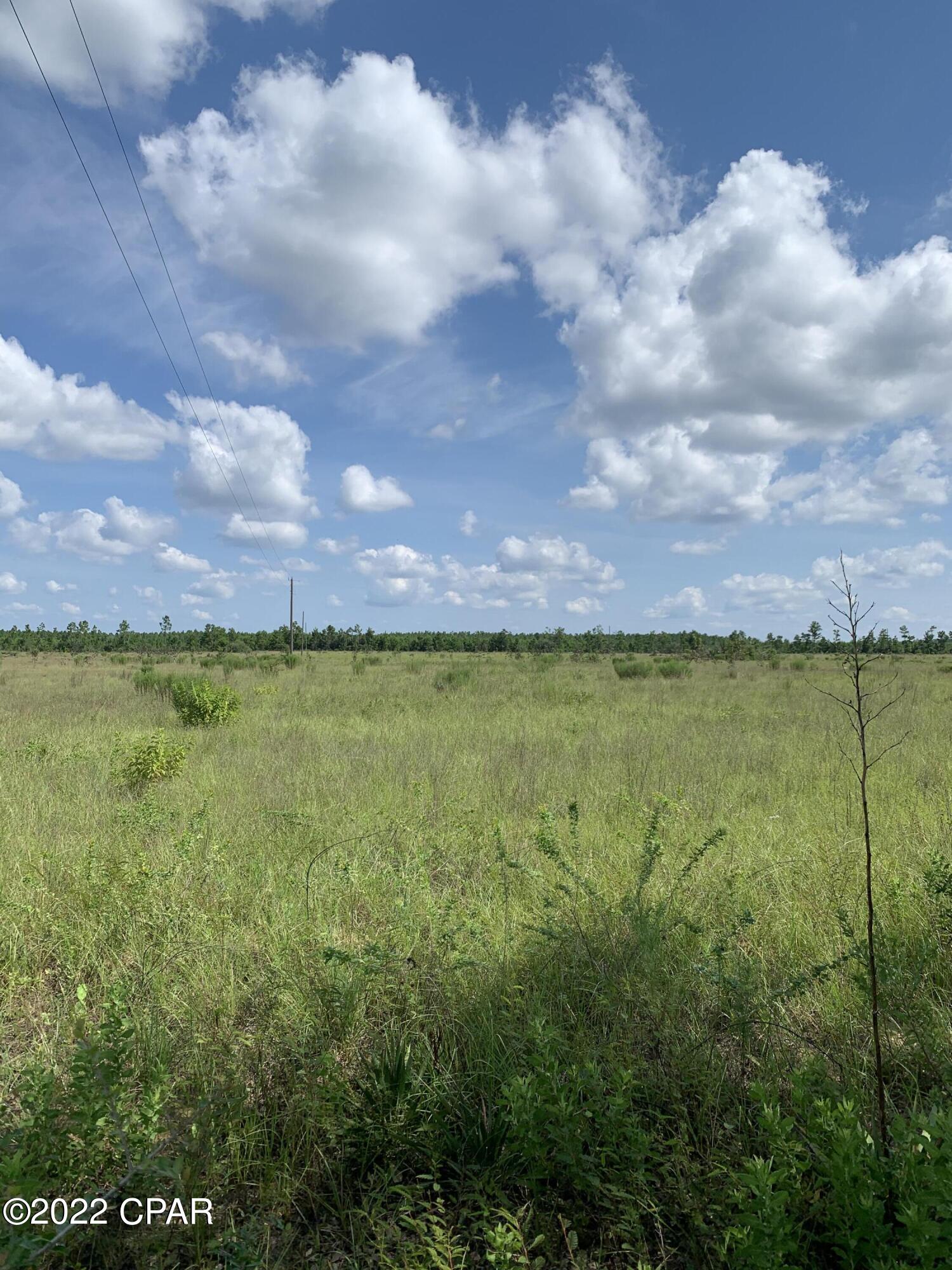 0 Northwest Porter Grade Road Altha, FL 32421 - Photo 4 of 12 Gallery Image 4