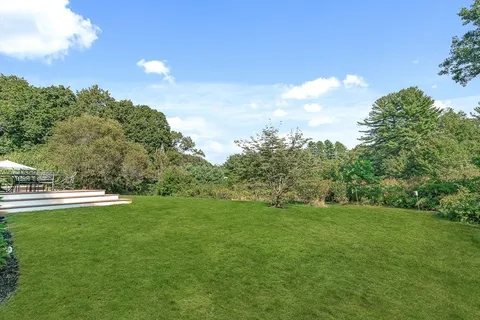 a view of a green field with trees in the background
