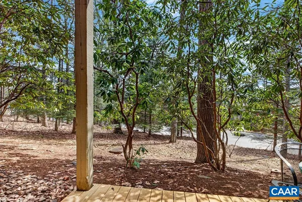 a view of a trees in a yard