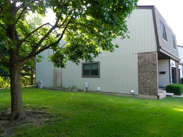 492 Rustic Drive, Unit 492 Wheeling, IL 60090 - Photo 16 of 20 a view of a backyard with potted plants and large trees