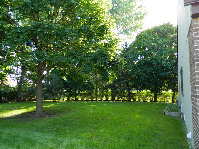 492 Rustic Drive, Unit 492 Wheeling, IL 60090 - Photo 17 of 20 a view of park space