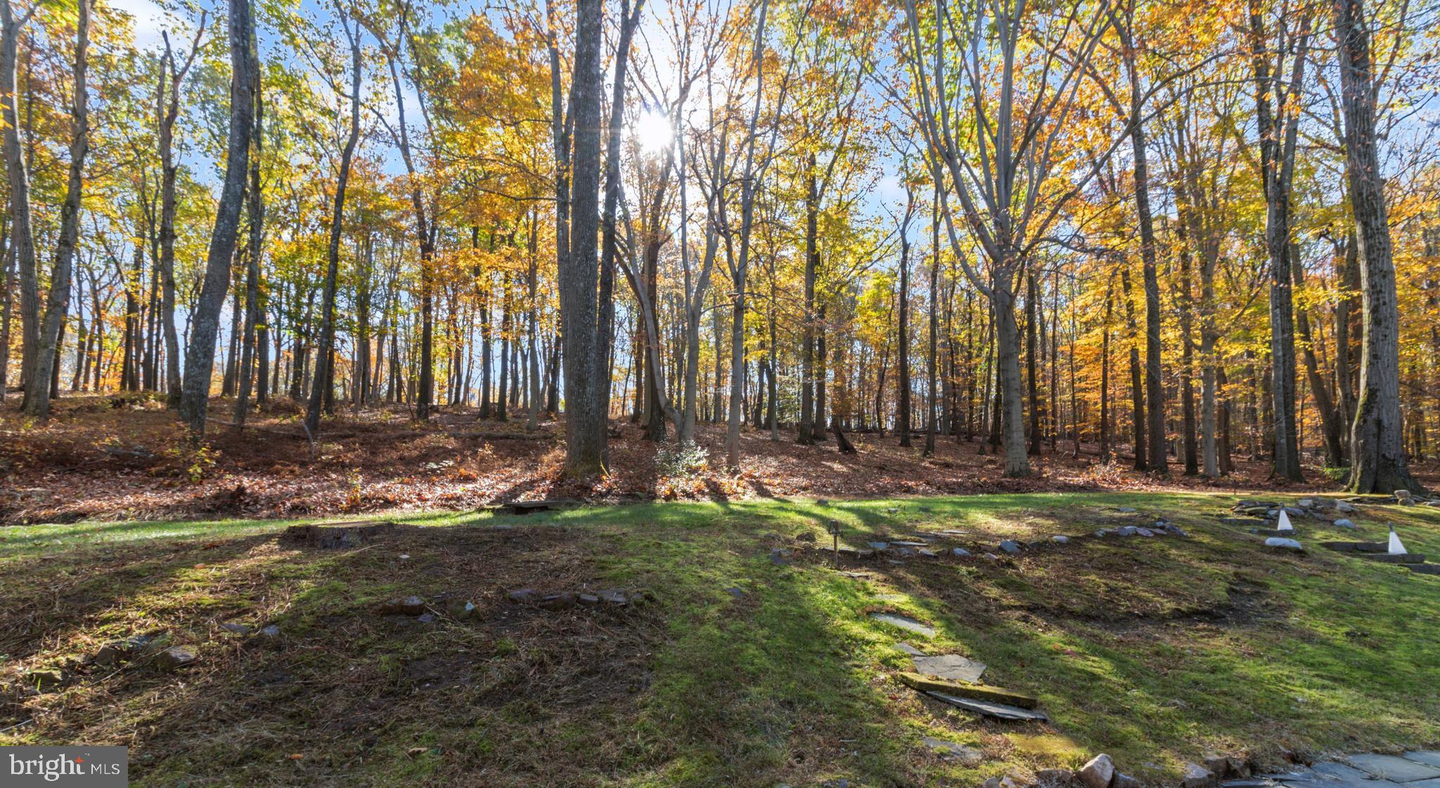 7036 Upper York Road New Hope, PA 18938 - Photo 29 of 45 View of Private Back Area