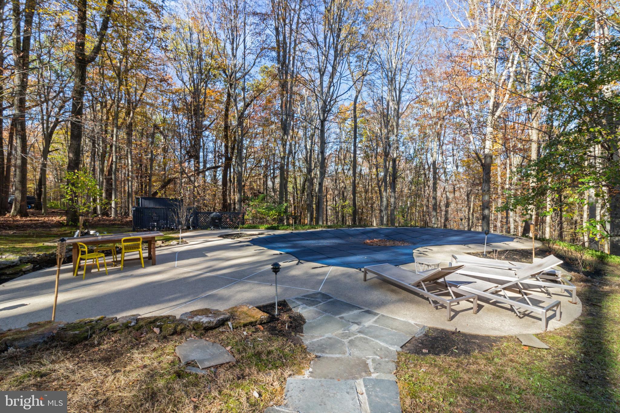 7036 Upper York Road New Hope, PA 18938 - Photo 33 of 45 Pool Area