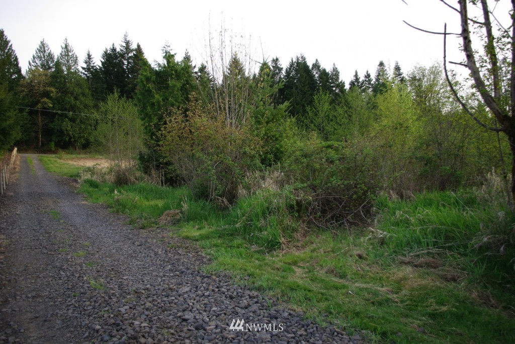 0 Pine Ridge Lane Chehalis, WA 98532 - Photo 4 of 4