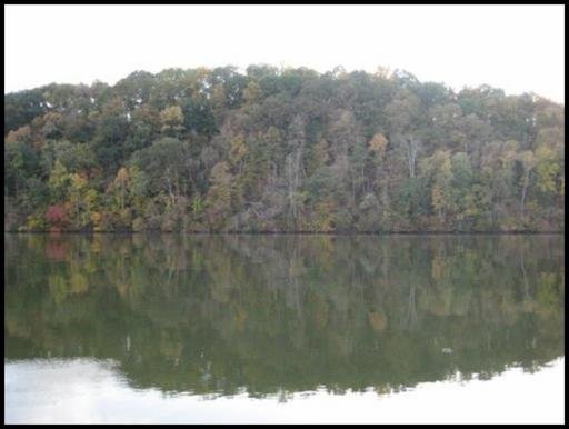 398 Rivers Edge Drive, Unit 3 Loudon, TN 37774 - Photo 15 of 16 Additional Photo