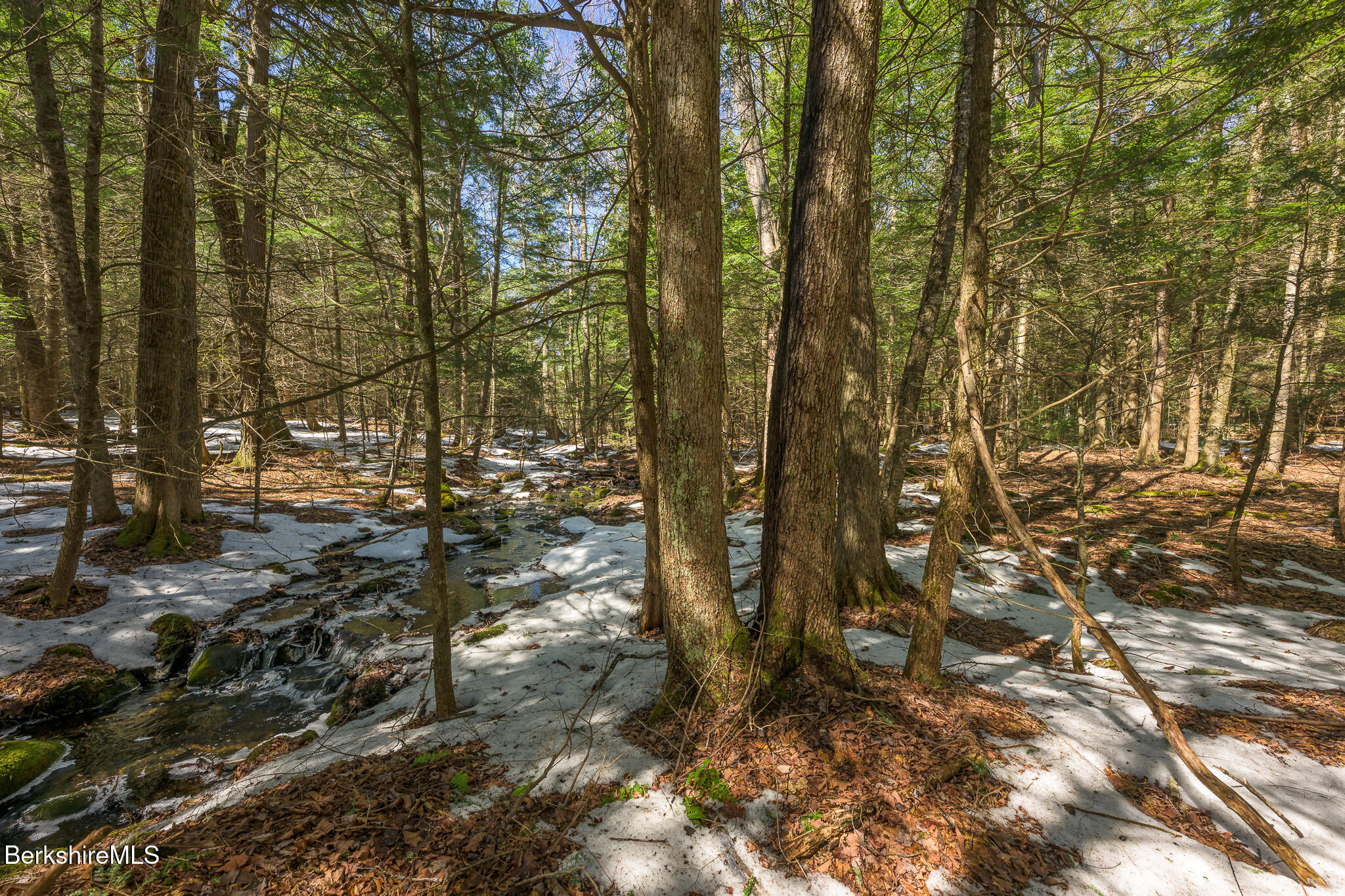 545 West Center Road Otis, MA 01253 - Photo 52 of 60 Screen - 545 W Center Rd Otis MA 01253-9