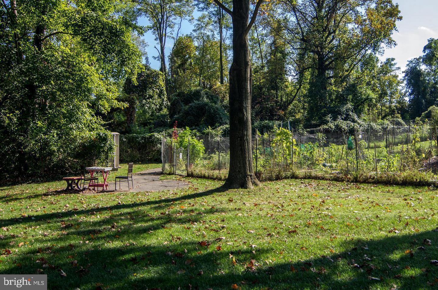 5225 Pooks Hill Road, Unit 120N Bethesda, MD 20814 - Photo 11 of 18 Serene garden retreat with lush greenery.