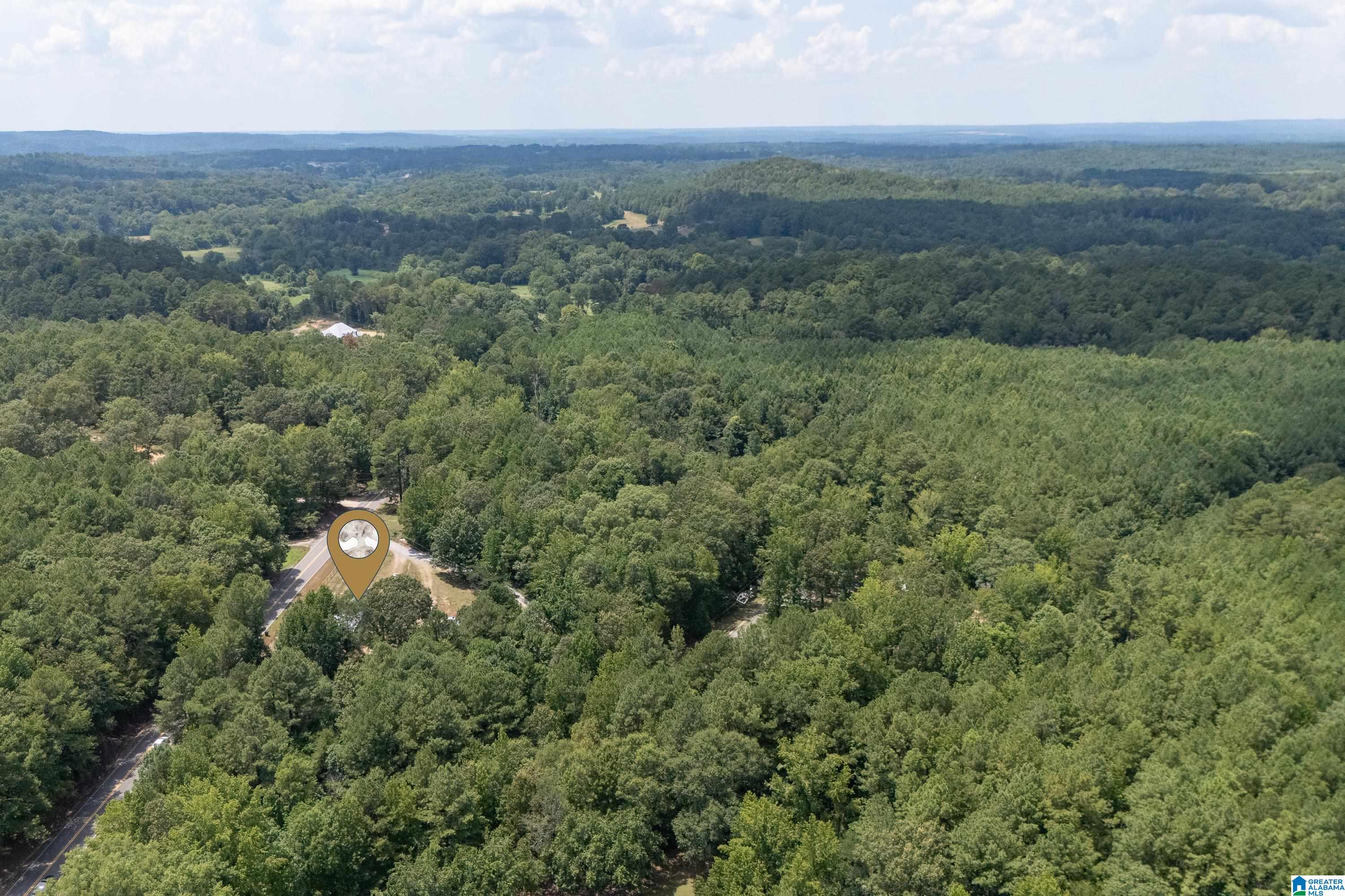 2224 Morris Majestic Road Morris, AL 35116 - Photo 32 of 36