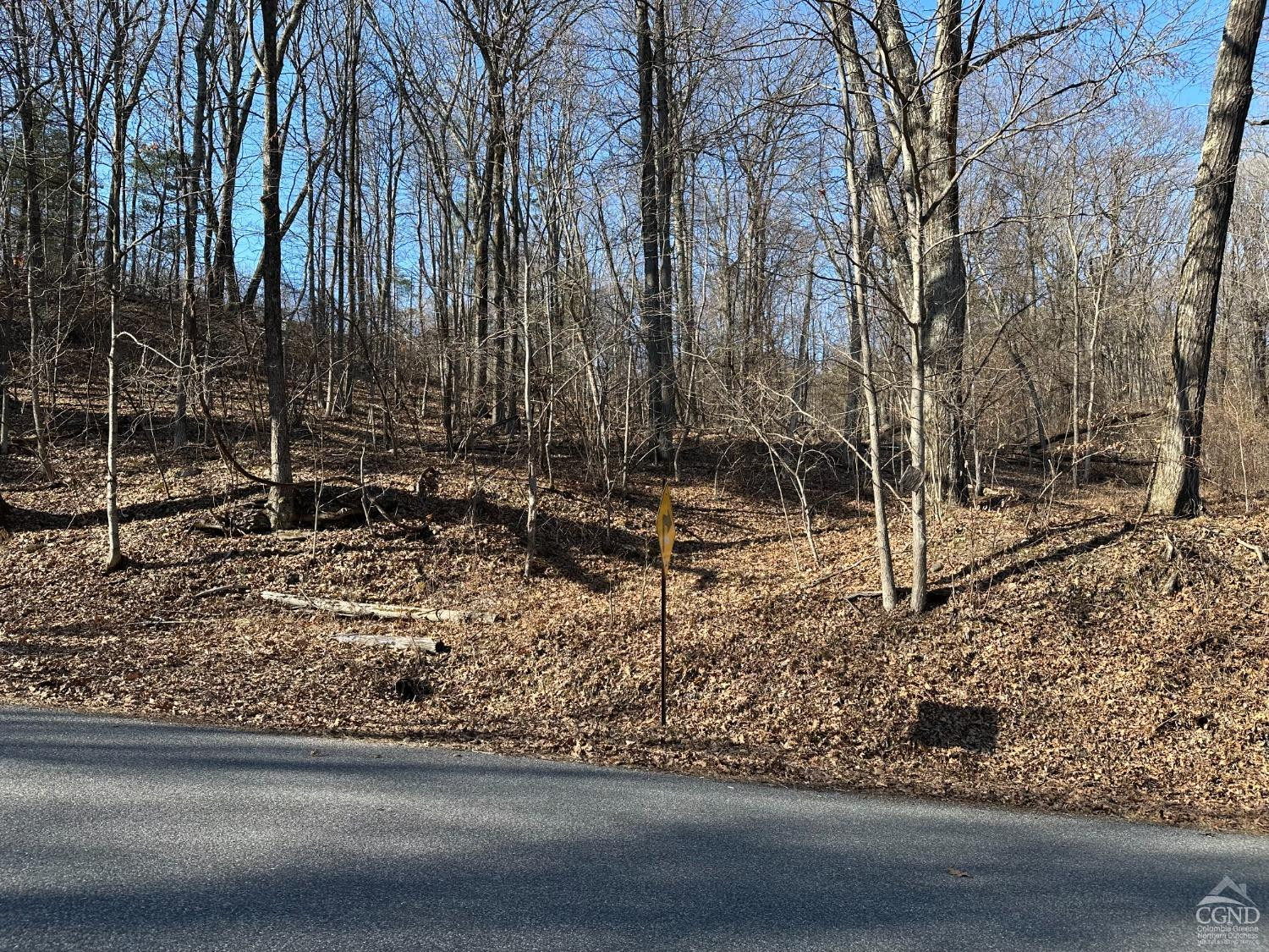 0 Buttermilk Falls Road Athens, NY 12015 - Photo 1 of 17 Photo 1