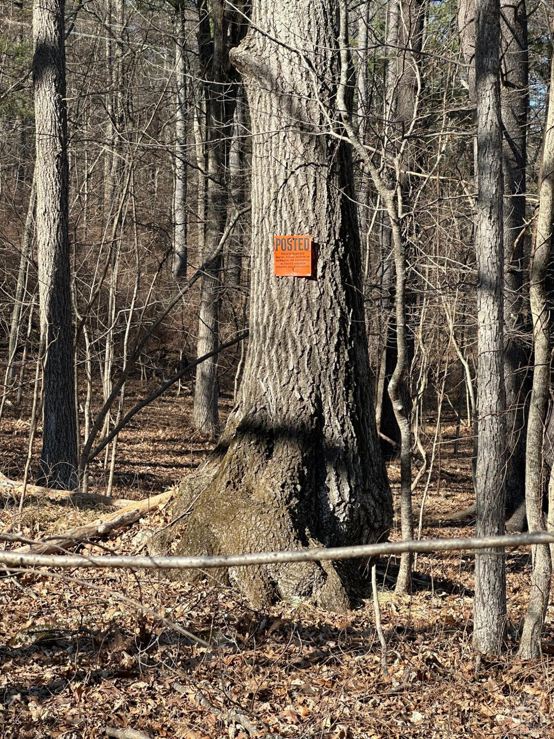 0 Buttermilk Falls Road Athens, NY 12015 - Photo 17 of 17 Photo 17